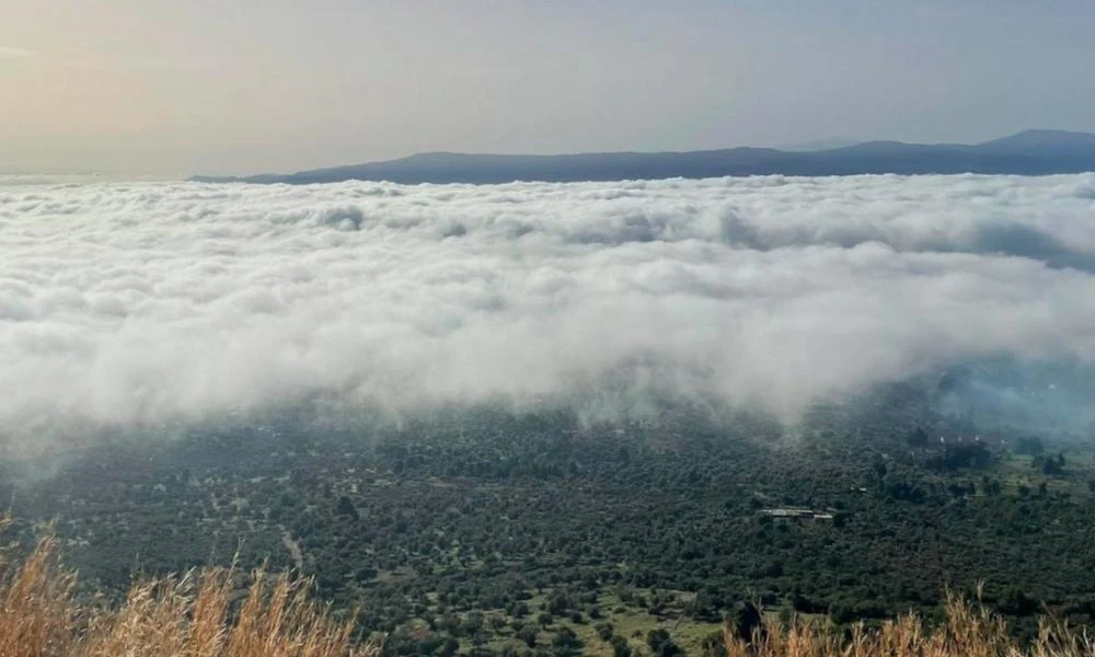 Εύβοια: Απόκοσμο σκηνικό - Πυκνή ομίχλη σκέπασε τα πάντα (εικόνες)